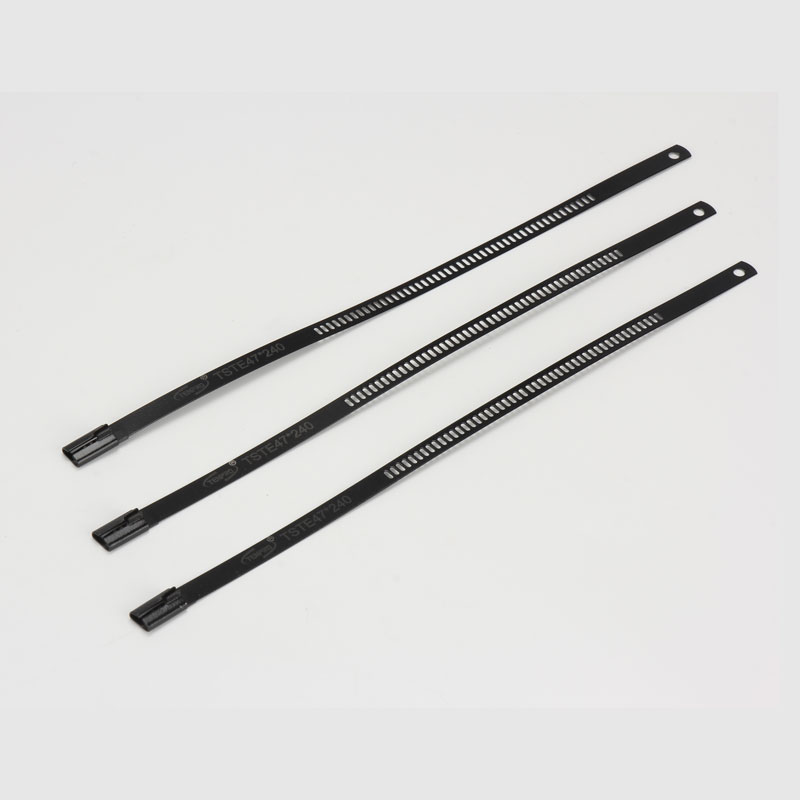 Стяжка в ленте из нержавеющей стали лестничного типа с эпоксидным покрытием TSTE