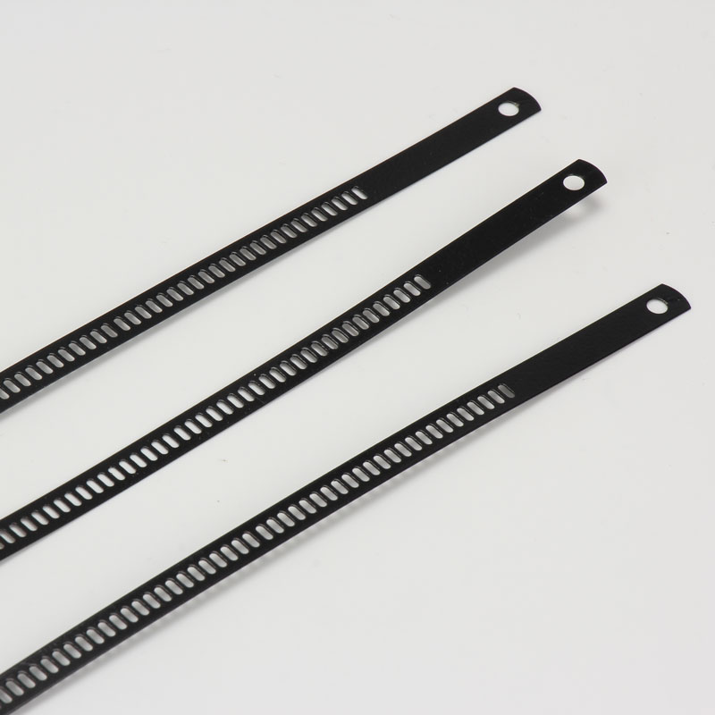 Стяжка в ленте из нержавеющей стали лестничного типа с эпоксидным покрытием TSTE