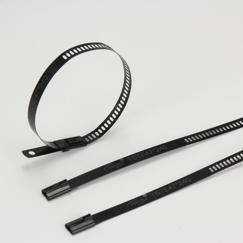 Стяжка в ленте из нержавеющей стали лестничного типа с эпоксидным покрытием TSTE