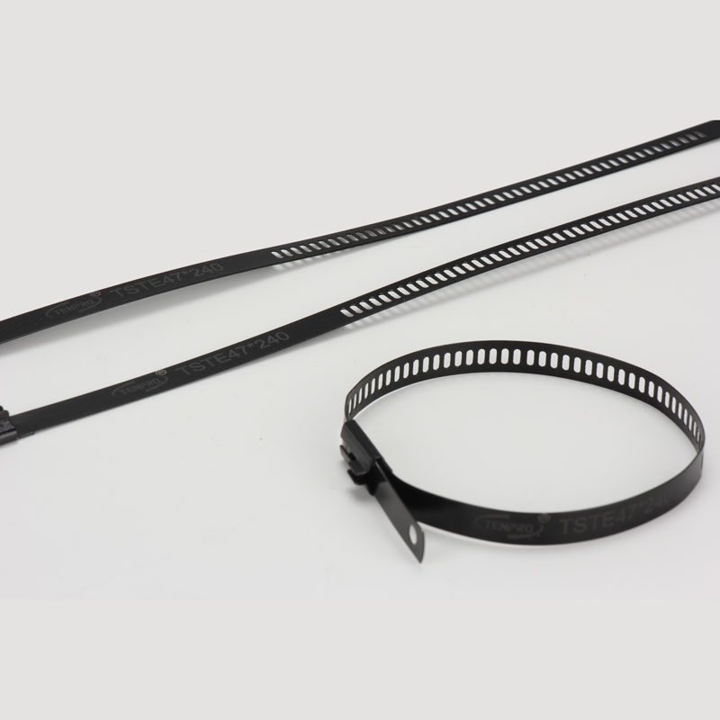 Стяжка в ленте из нержавеющей стали лестничного типа с эпоксидным покрытием TSTE