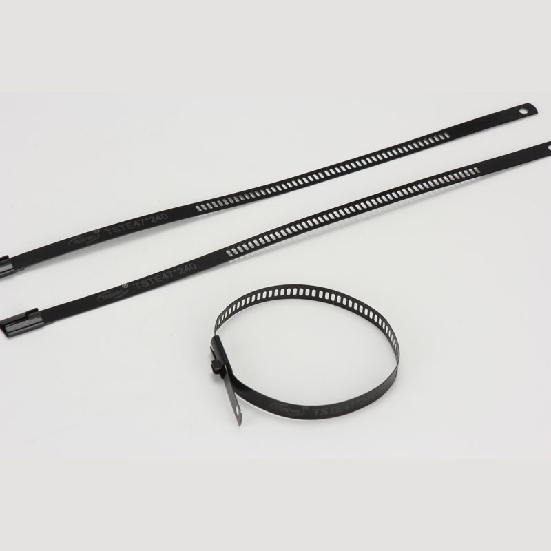 Стяжка в ленте из нержавеющей стали лестничного типа с эпоксидным покрытием TSTE