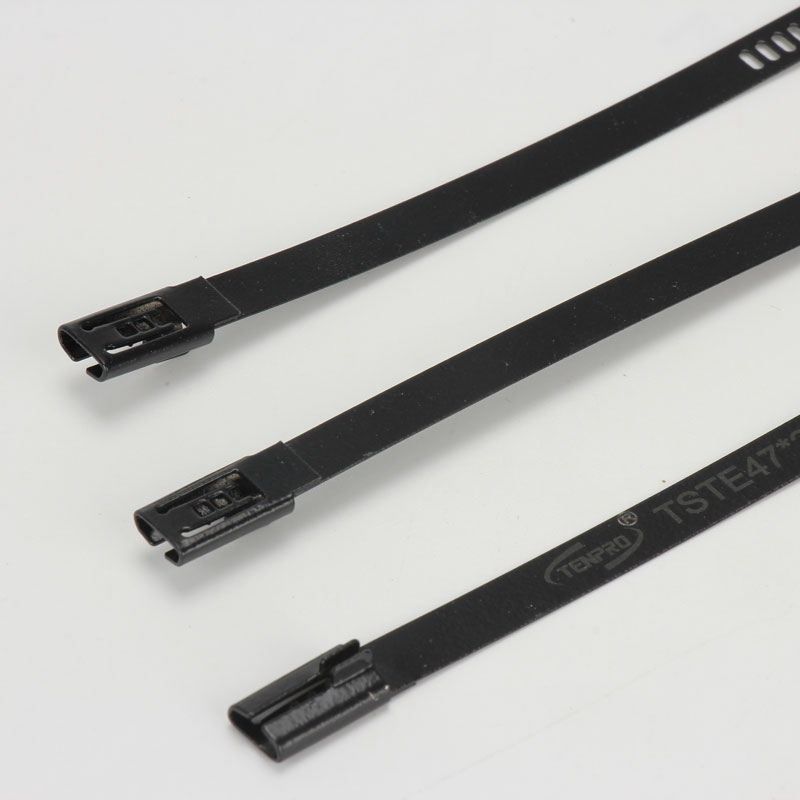 Стяжка в ленте из нержавеющей стали лестничного типа с эпоксидным покрытием TSTE