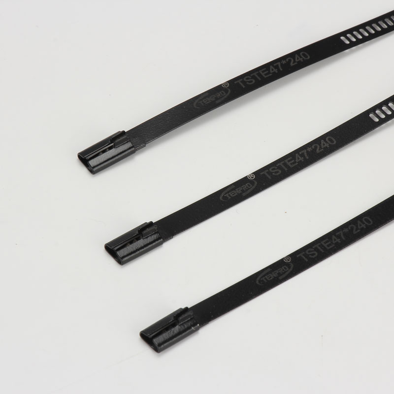 Стяжка в ленте из нержавеющей стали лестничного типа с эпоксидным покрытием TSTE