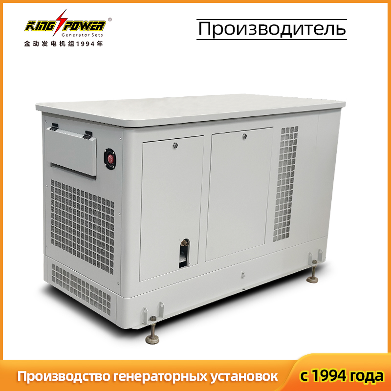 Тихий бытовой двухтопливный генератор 30 кВт (природный газ / СУГ)