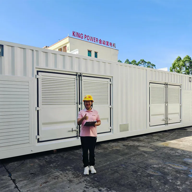 1000 kW контейнерная генераторная установка на природном газе