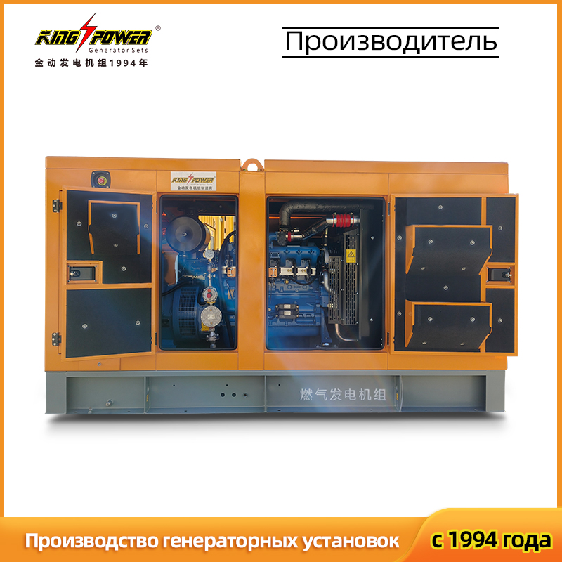 OEM Газовый генератор 100 кВт / 125 кВА, в шумозащитном или открытом исполнении, на природном газе / СПГ