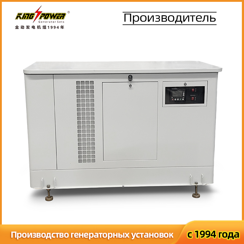 Тихий бытовой двухтопливный генератор 30 кВт (природный газ / СУГ)