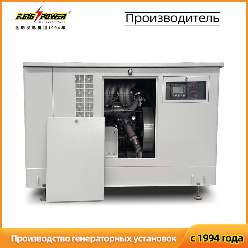 Тихий бытовой двухтопливный генератор 30 кВт (природный газ / СУГ)