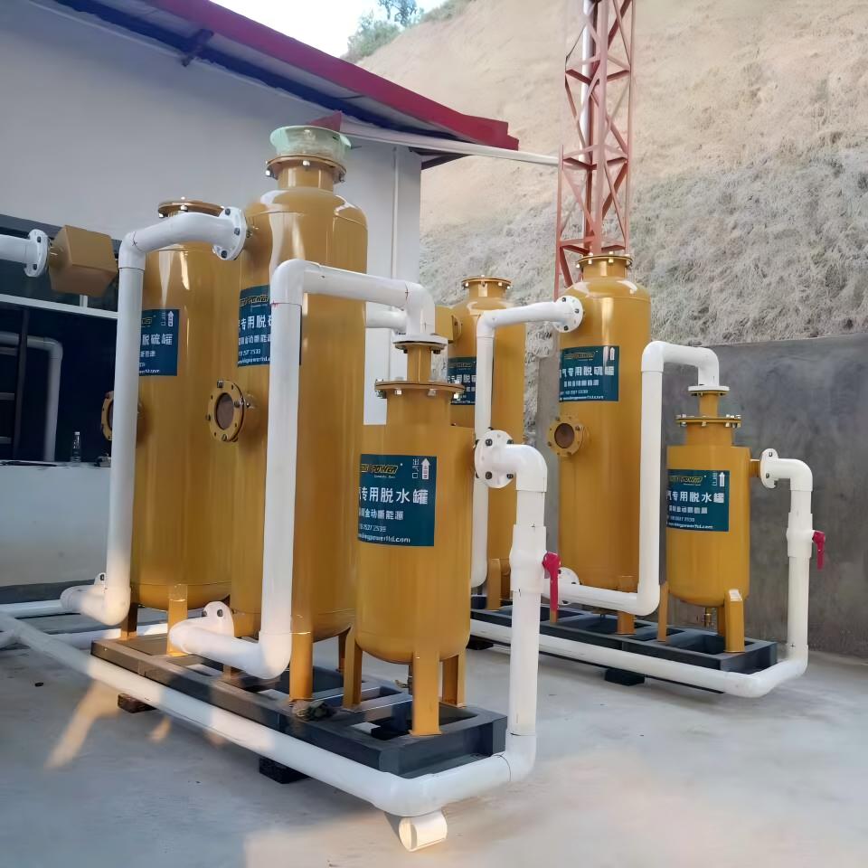 Скруббер для десульфуризации биогаза из нержавеющей / углеродистой стали