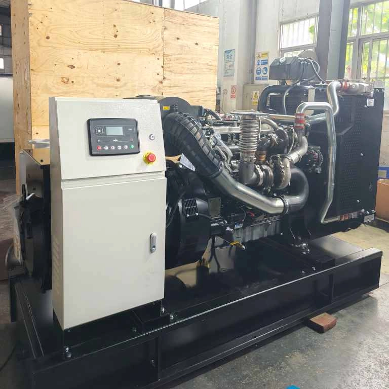 Заводская цена дизельного генератора Perkins 200 кВт/250 кВА 300 кВт трехфазный с водяным охлаждением