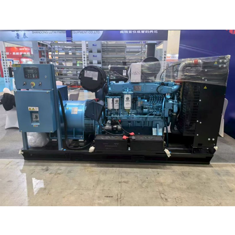 Технические характеристики дизель-генераторной установки Weichai мощностью 300 кВт — генераторные установки бренда Weichai являются мировыми бестселлерами.