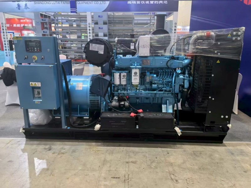 Газопоршневые установки421 (2)