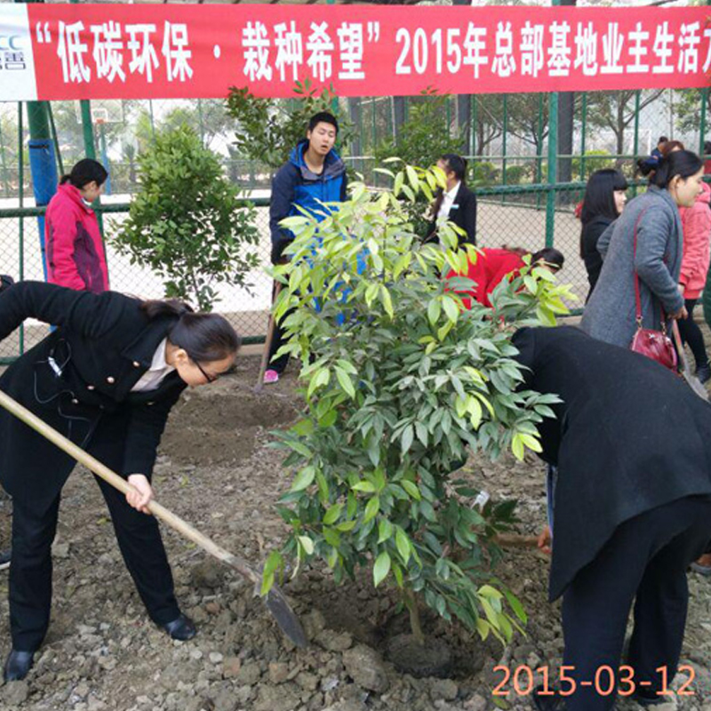 Благотворительная акция ко Дню посадки деревьев 2015 года