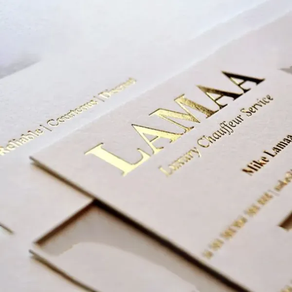 Компания «Лонгфэн Паккиджинг» углубляет техноло...