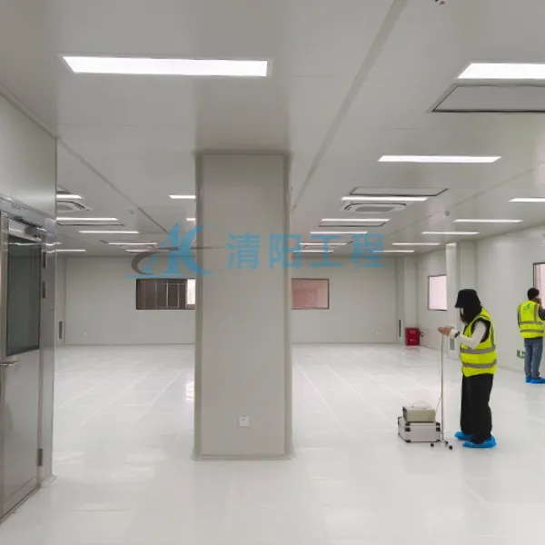 Углубленный анализ плана строительства и стоимости цеха по производству пищевых добавок, соответствующего стандартам GMP, в России.