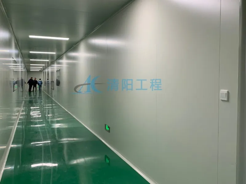 Сколько стоит чистое помещение площадью 2000 кв. м для производства электроники – Цинъян Инженерное дело 555 (2)