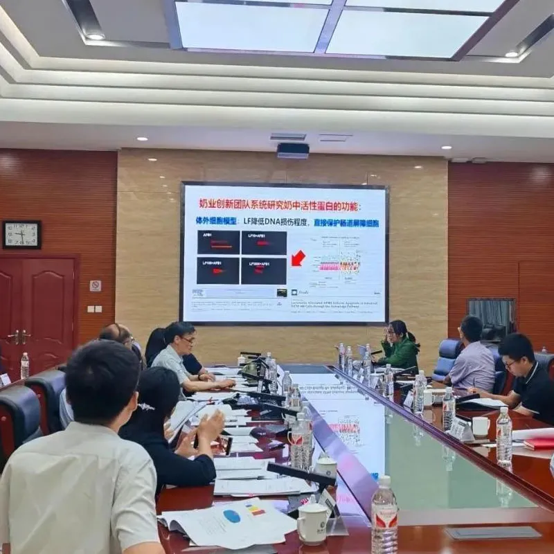 Стандарт сельскохозяйственной отрасли «Классификация лактоферрина в сыром молоке» прошел экспертизу, способствуя формированию новой структуры высококачественного развития молочной промышленности.