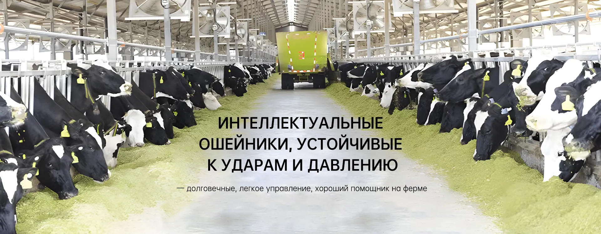 d66fe3ca-ea54-4867-a948-3123e7d46a05