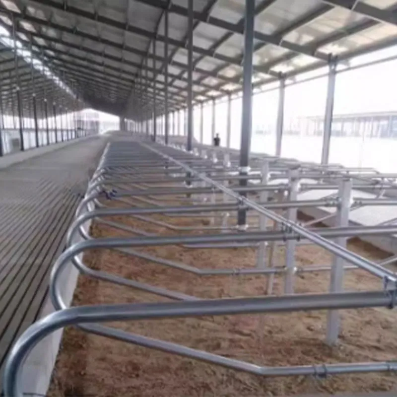 Коровьи лежаки