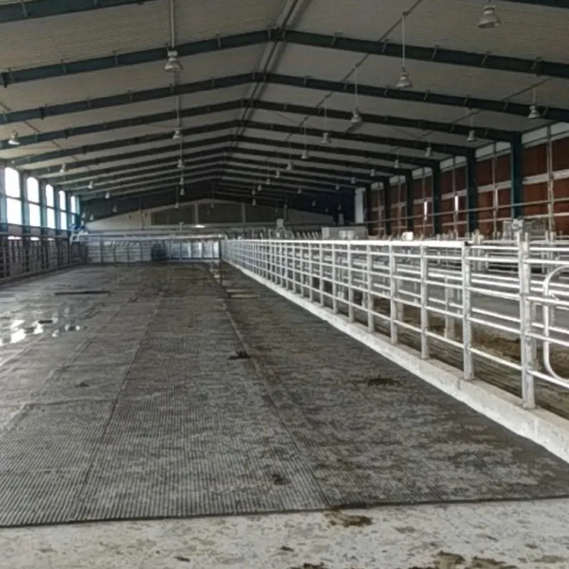 Разделительный барьер для родильного отделения КРС