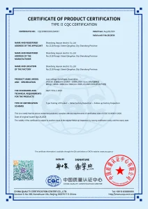 Сертификат1 (10)