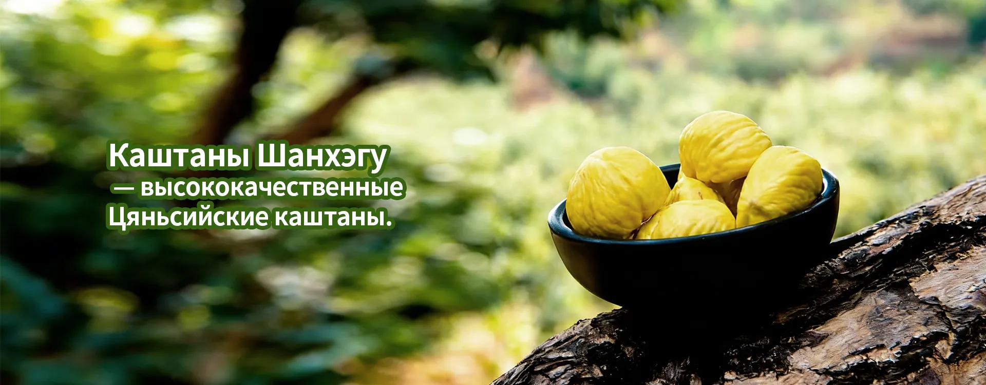 Очищенные каштаны banner (3)