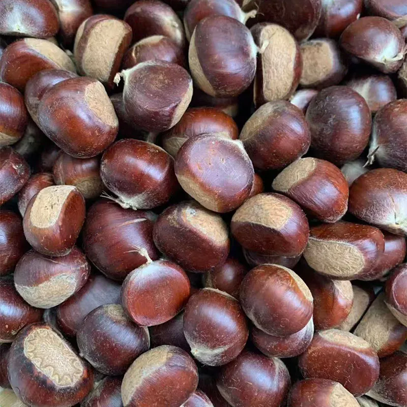 Свежие каштаны