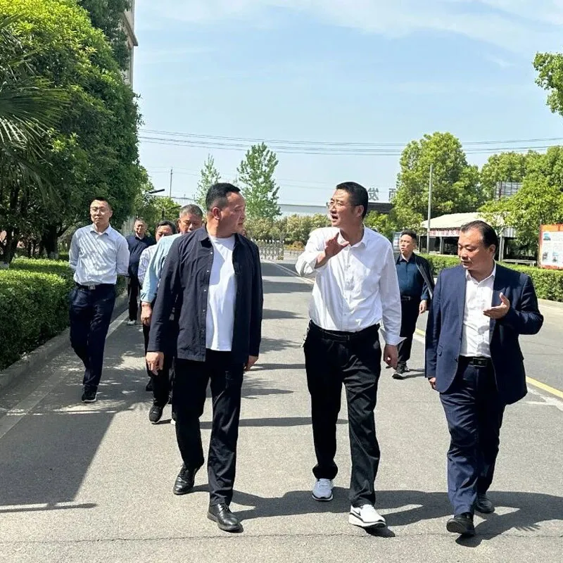 Делегация из города Мафан, уезда Гуаншань, посетила ООО Хубэй Тунлин Строительные Материалы