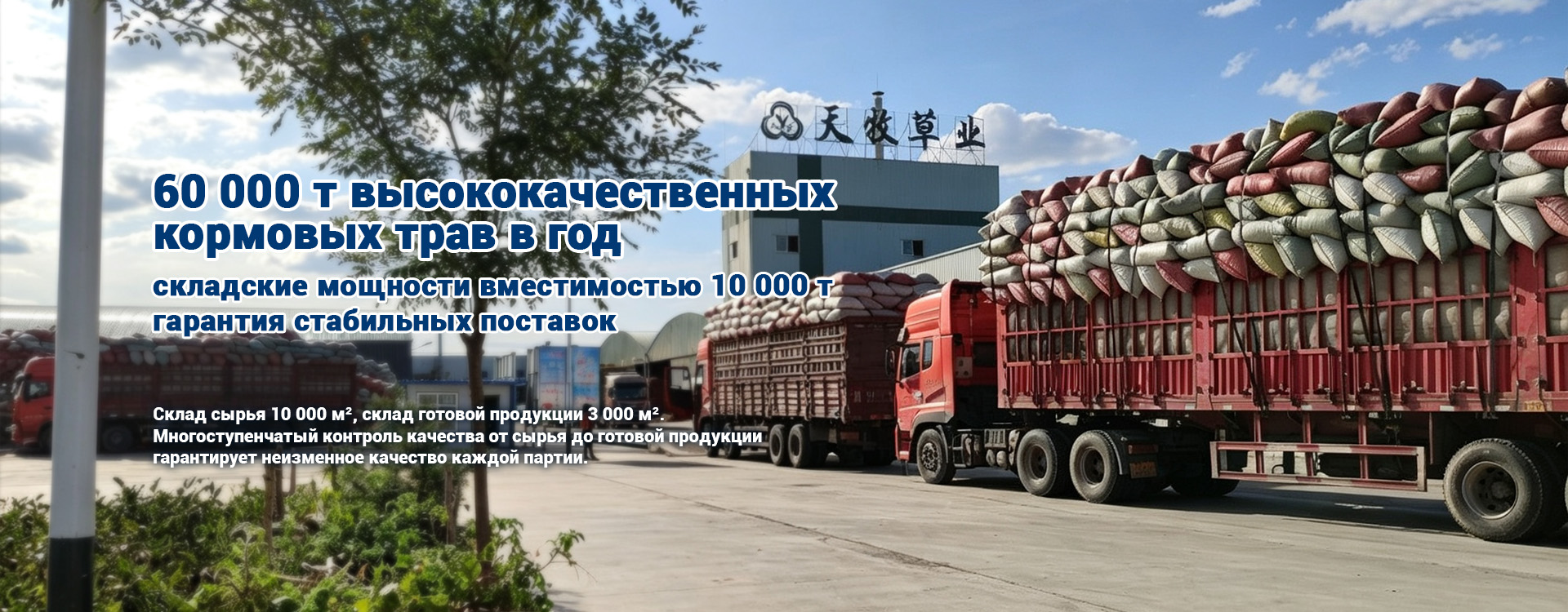 Корма из трав для домашних животных  banner1