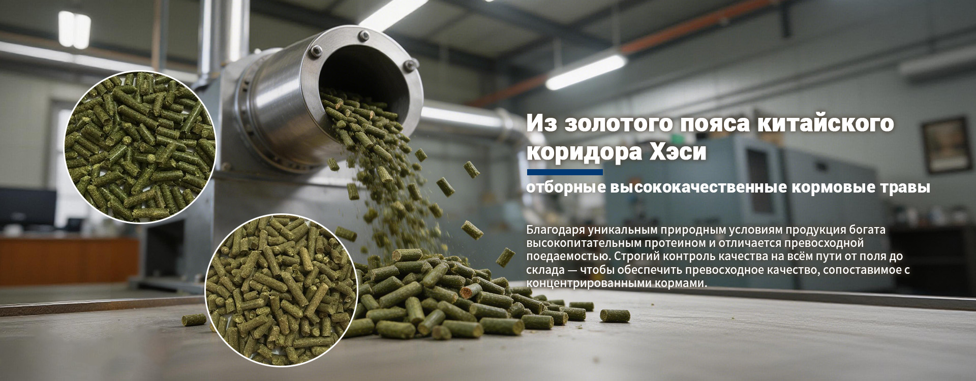 Корма из трав для домашних животных  banner3