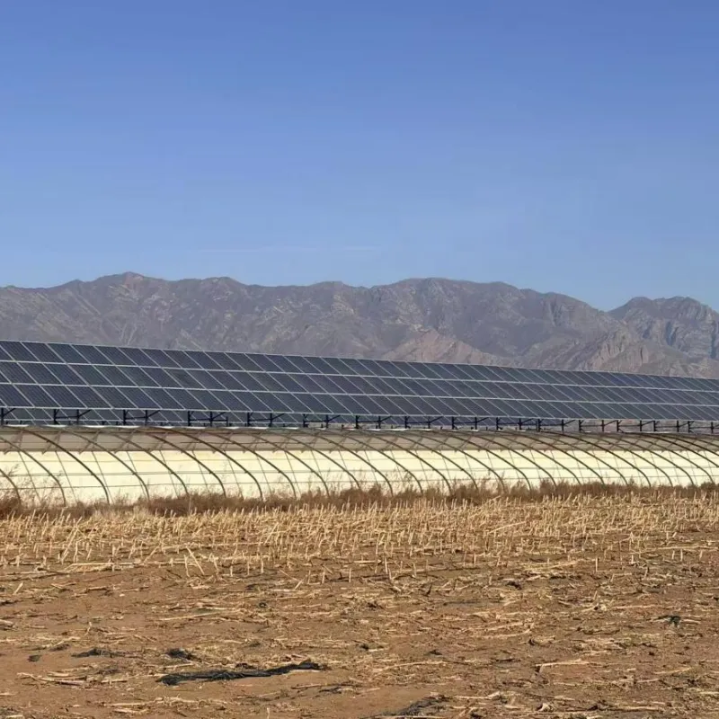 Как технология распределенной фотоэлектрической генерации электроэнергии во Внутренней Монголии может обеспечить устойчивое развитие?