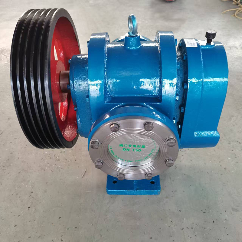 Масляного насоса Ротца объемом 100 м³