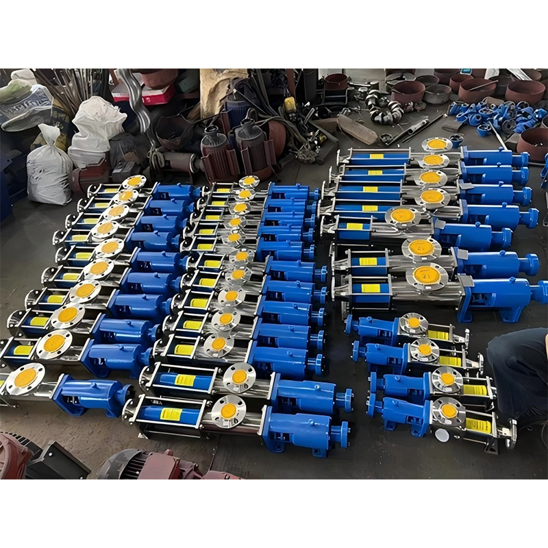 Одношнековый насос из нержавеющей стали G60-2