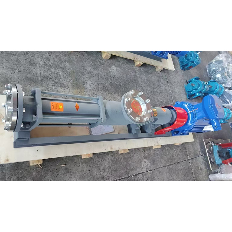 Одношнековый насос модели G135-1