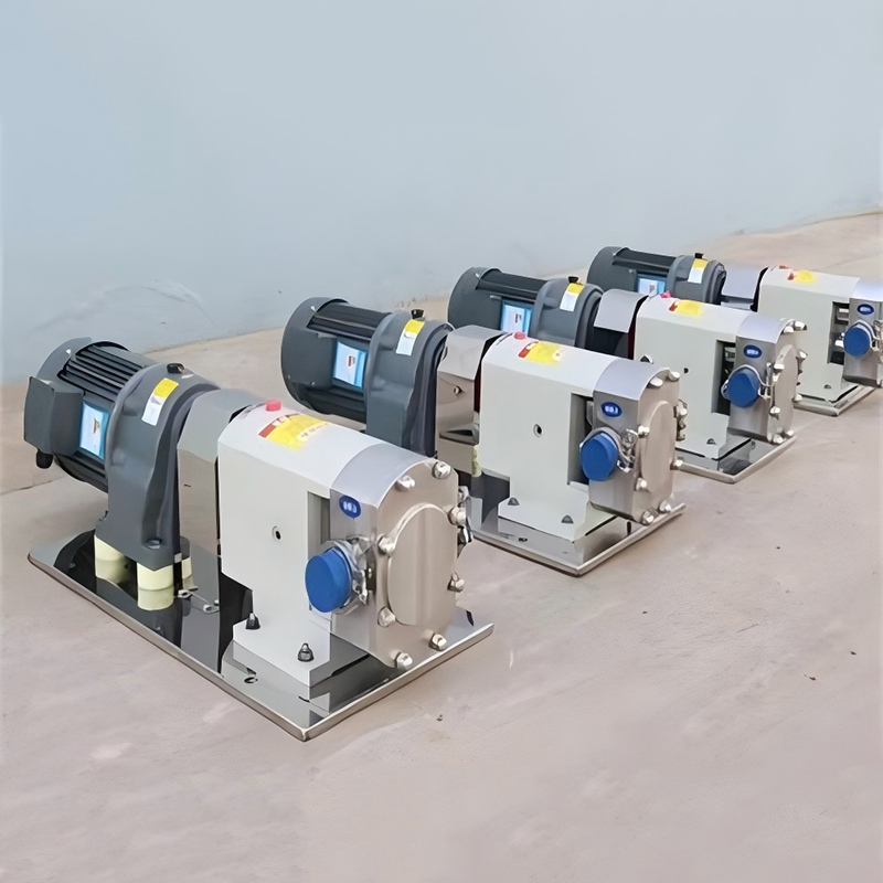 Роторный насос из нержавеющей стали LX3A-9 для пищевой промышленности