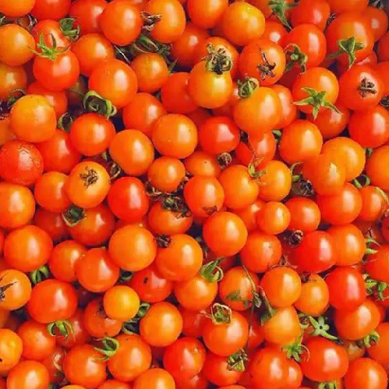 [Мартовское время обогащает вкус древних рецептов | Горшочек красного кислого супа, пробуждающего душу юго-восточного Гуйчжоу]