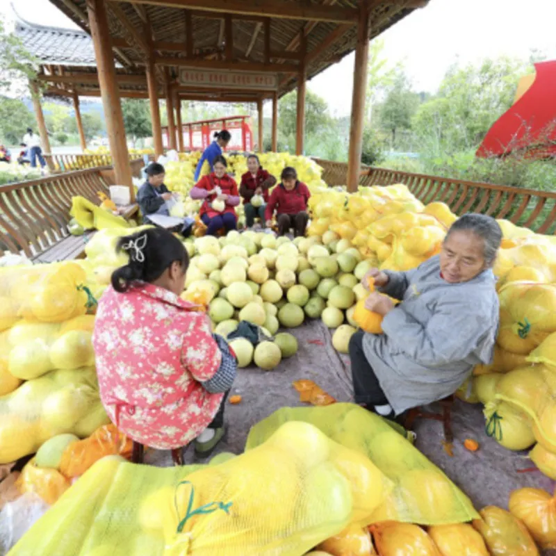 Продукция ресторана “Мэйянъян” в провинции Гуйчжоу: ароматные сухофрукты выходят на российский рынок, сельская внешняя торговля открывает новые горизонты.