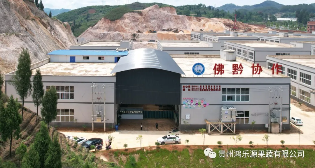 xinwen2 (1) xinwen2 (1)