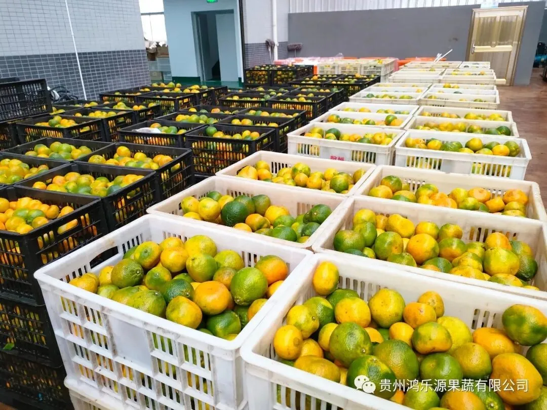 xinwen2 (2) xinwen2 (2)