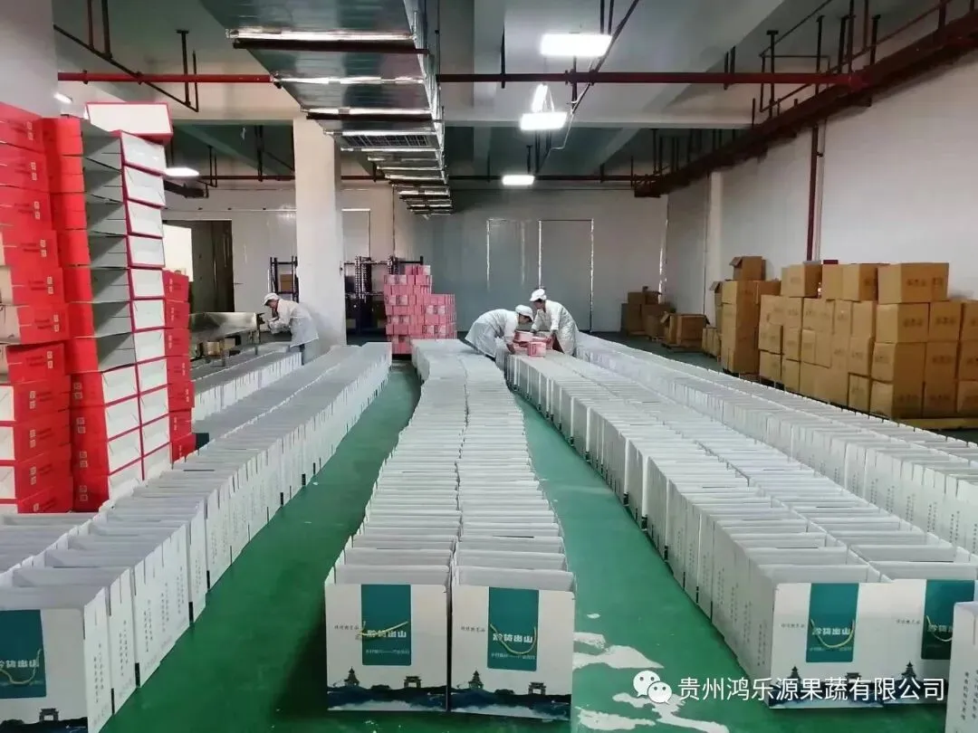 xinwen2 (4) xinwen2 (4)