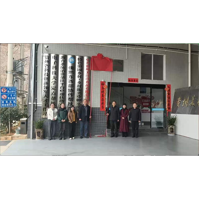 Предприятие-образец по ключевым технологиям и индустриализации повышения уровня переработки и модернизации характерных плодов Юго-Запада