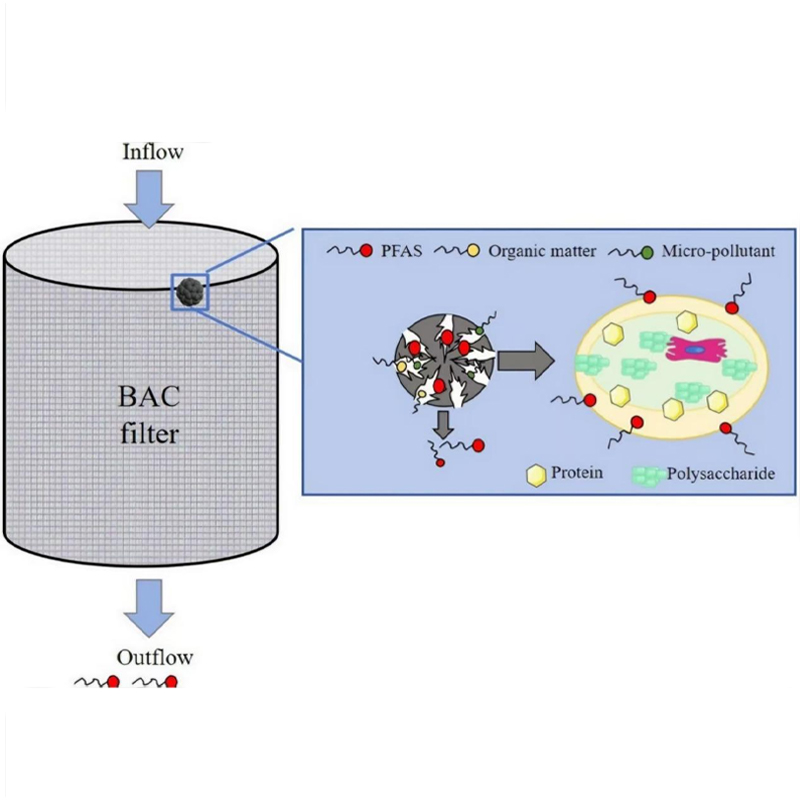 Как биологическая пленка на основе активированного угля влияет на удаление PFAS