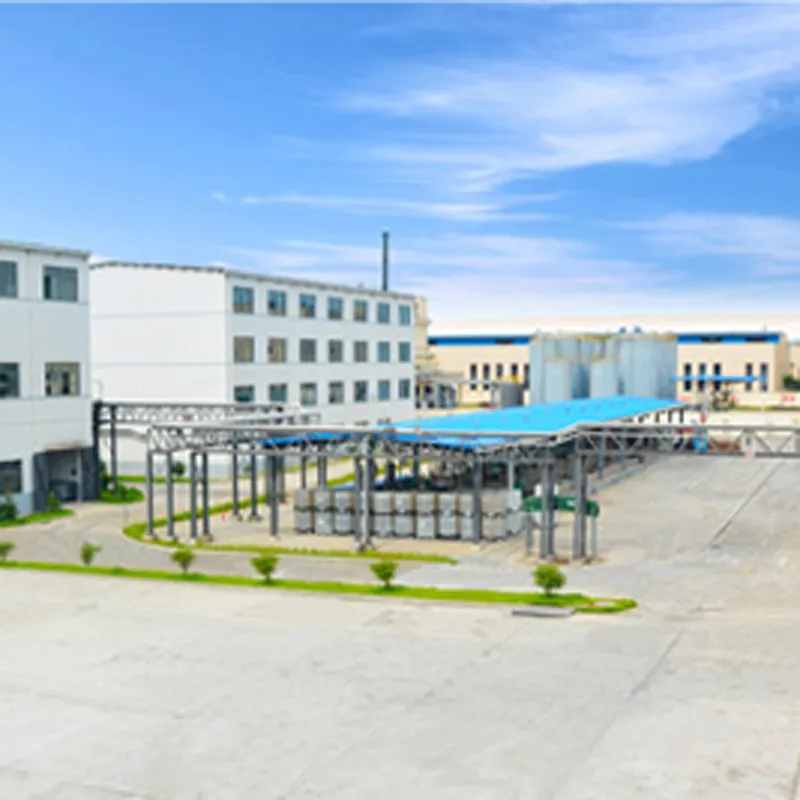 Комплексное обновление четырех основных продуктовых систем, индивидуализированные услуги способствуют развитию в различных областях