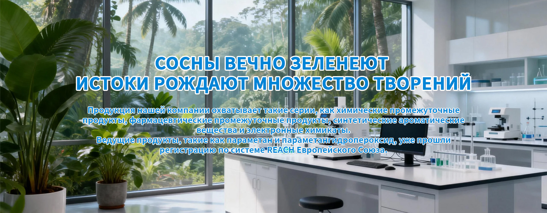 Циклоалкены и циклоалканы-banner1 (2)