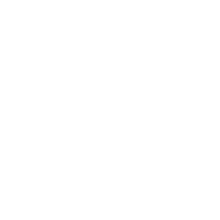 icon (1)