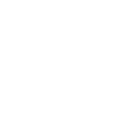 icon (2)