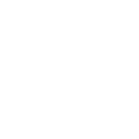 icon (3)