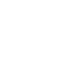 icon (5)