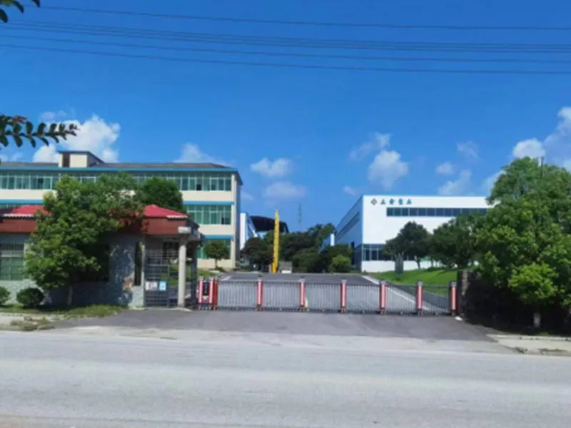 gstp1 (1)