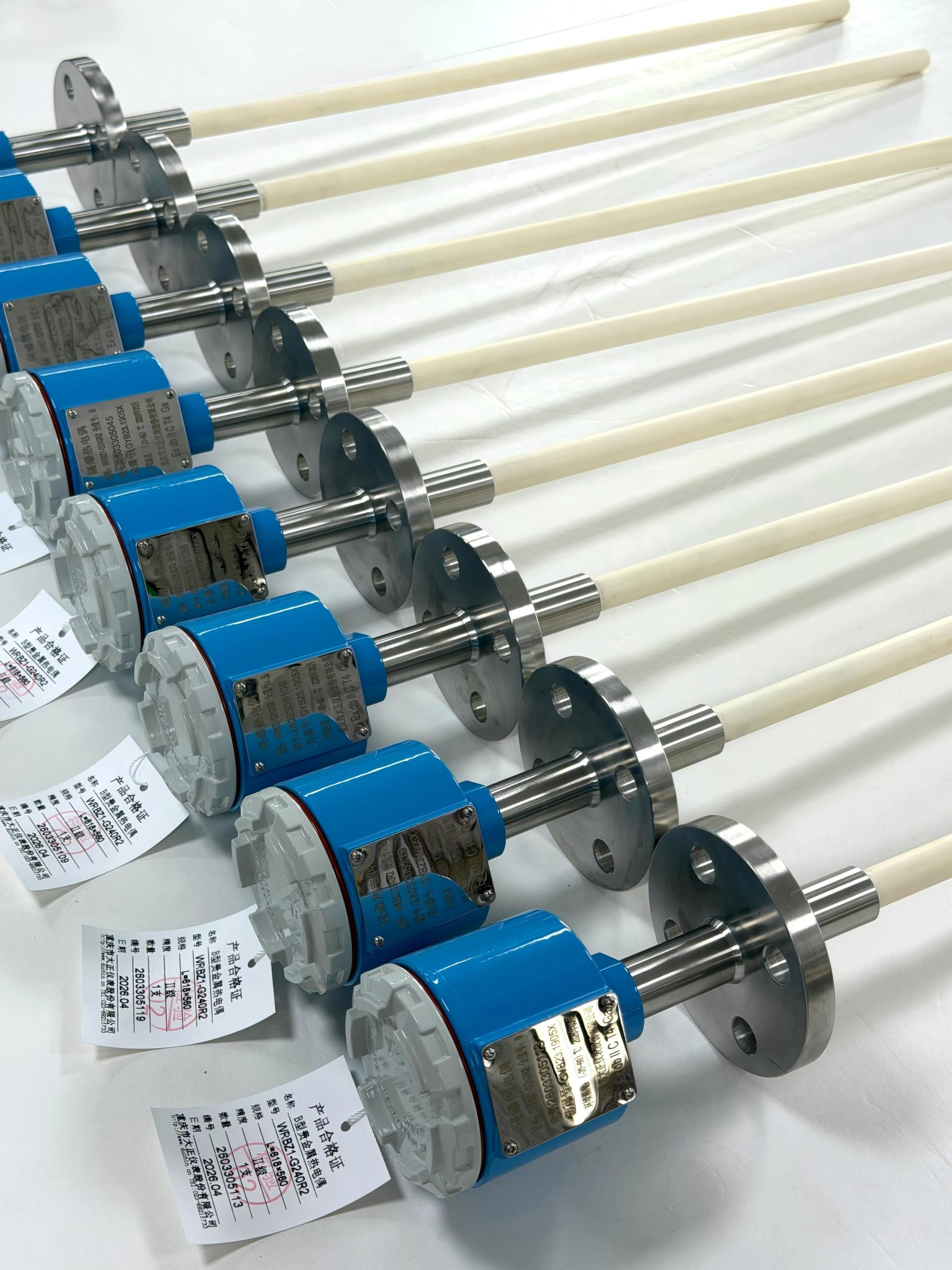 Взрывозащищенная термопара типа B 1700°C WRBZ1-G240R2